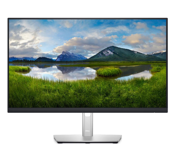 Dell P2422HE/5Y - 1165187 - zdjęcie